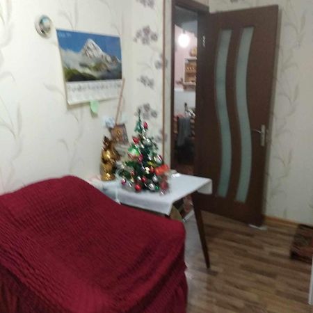Guest House Dodo 카즈베기 외부 사진