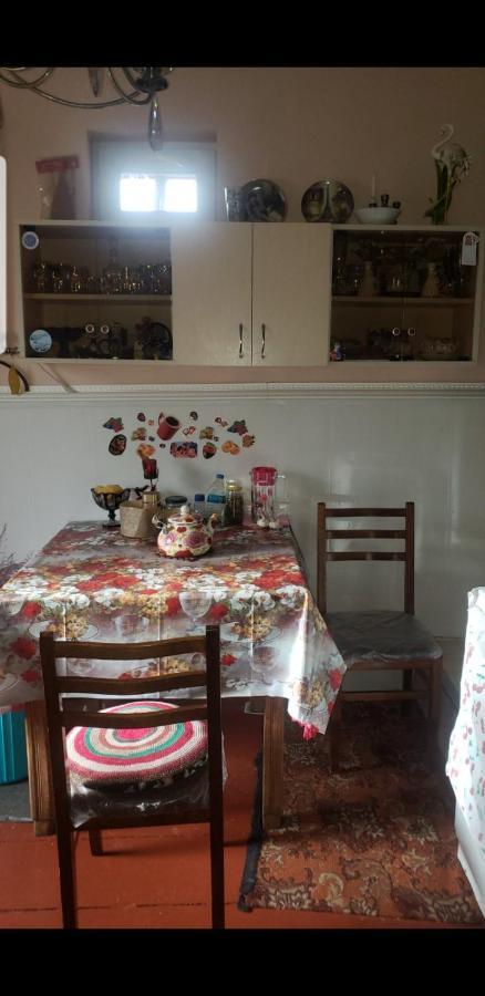 Guest House Dodo 카즈베기 외부 사진
