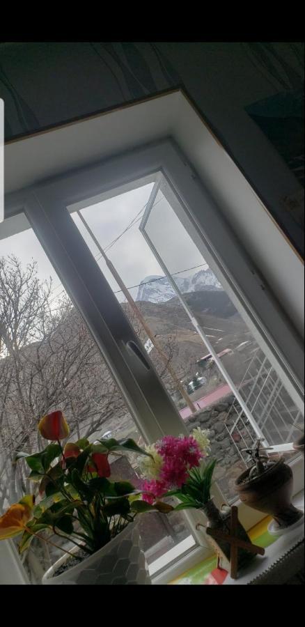 Guest House Dodo 카즈베기 외부 사진