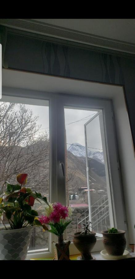 Guest House Dodo 카즈베기 외부 사진
